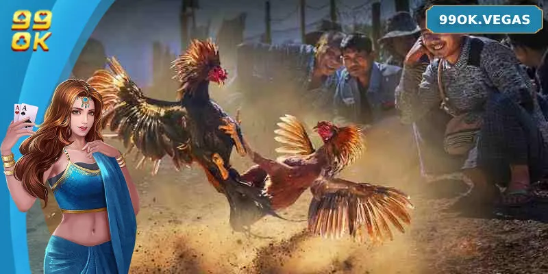 Thế giới đá gà Thomo trực tuyến siêu HOT tại nhà cái 99OK